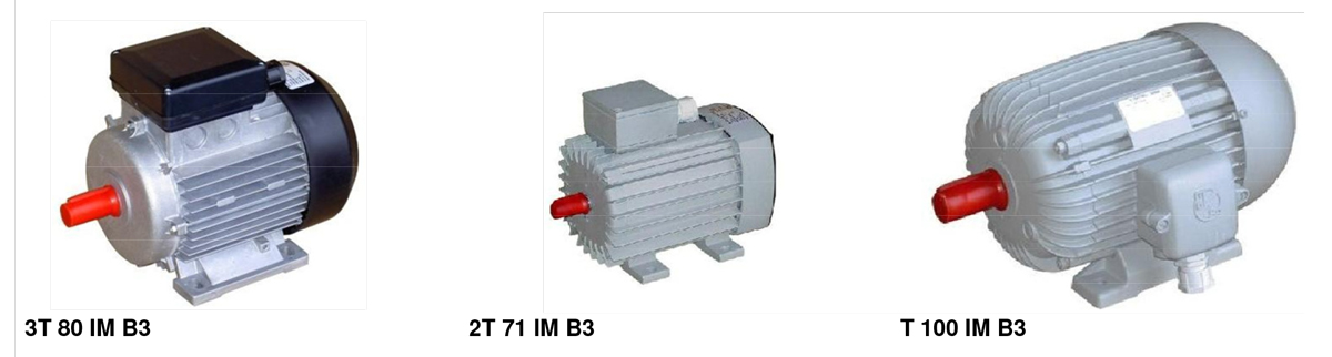 Trofazni asinhroni elektromotori sa kratkospojnim kavezom zatvorene izvedbe, snage do 11 KW